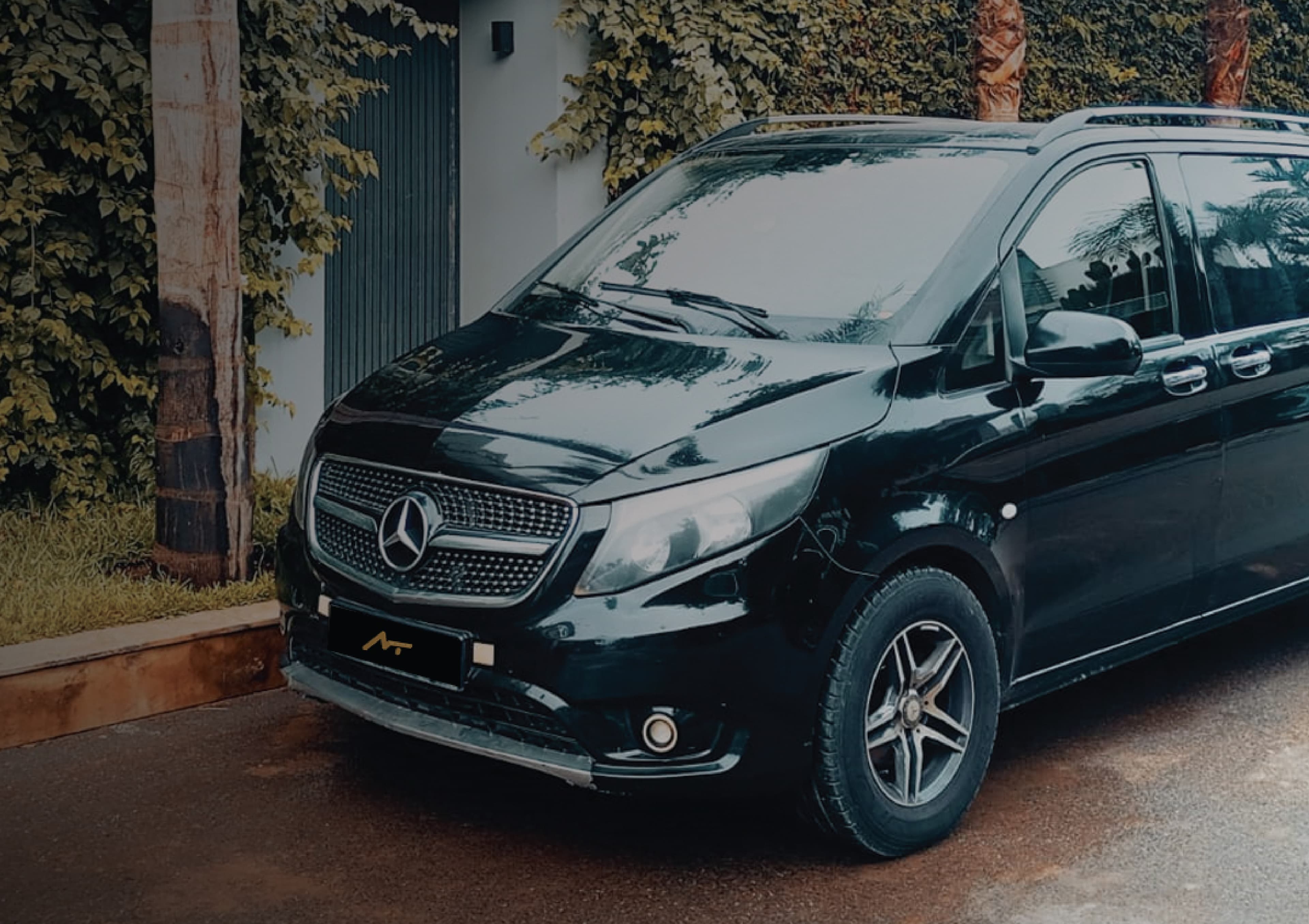 MINI VAN VIP